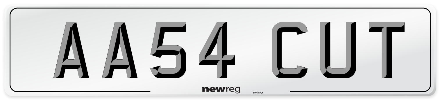 AA54 CUT Number Plate from New Reg